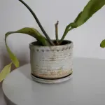 Rustikalna sivo-braonkasta saksija