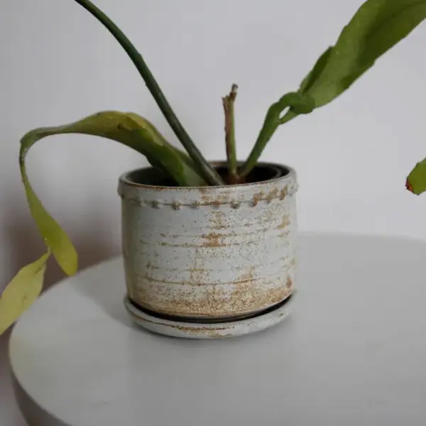 Rustikalna sivo-braonkasta saksija