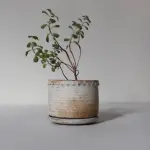 Rustikalna sivo-braonkasta saksija