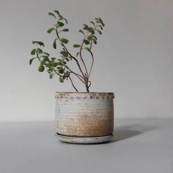 Rustikalna sivo-braonkasta saksija